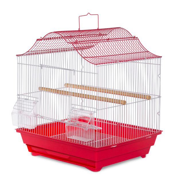 Bird Cage Small Crown