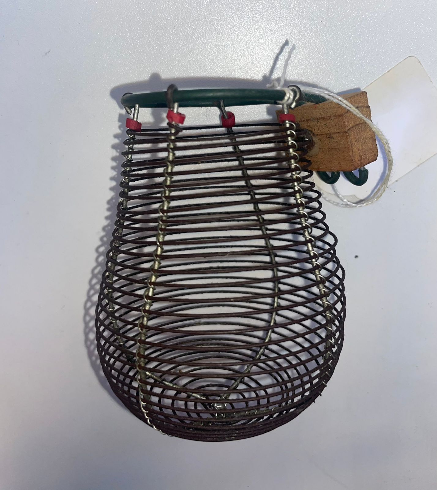 مبيضة طير الجنة