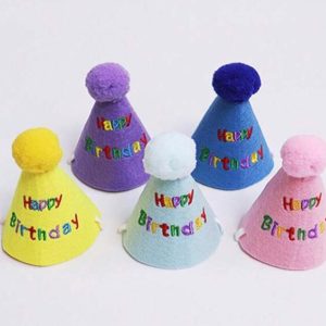 Happy Birthday Hat