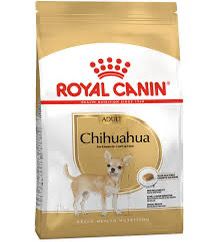 RC Chihuahua 1.5KG