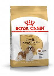 Cavalier King Charles 1.5kg
