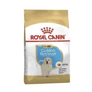 Golden Retriever Puppy 12kg