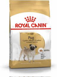 Pug