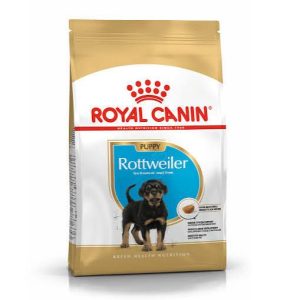 Rottweiller Puppy 12Kg RC