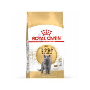 RC British Shorthair 2kg