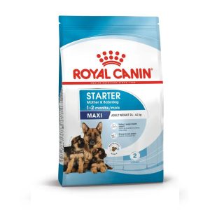 Maxi Starter 4kg