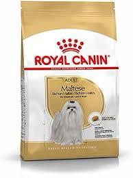 RC Maltese 1.5KG