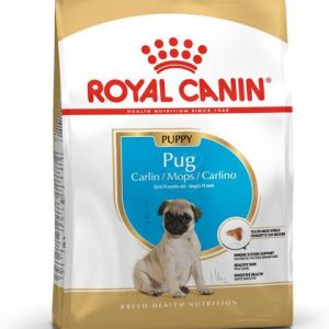 puppy pug
