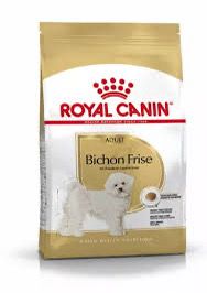 Bichon Frise 1.5kg