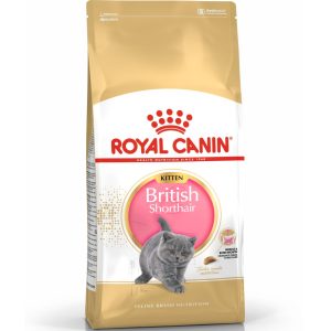 RC Kitten British Shorthair 2kg