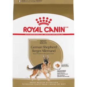 German shepered 11kg Adult