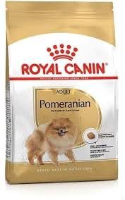 Pomeranian 1.5kg