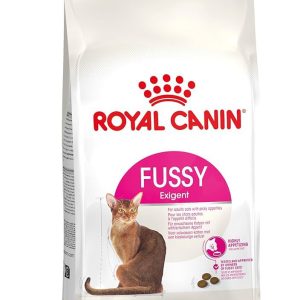 RC Fussy Cat 2kg