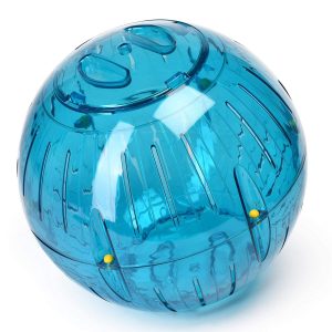 Giant Exercise Ball