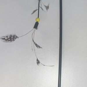 Feather Stick