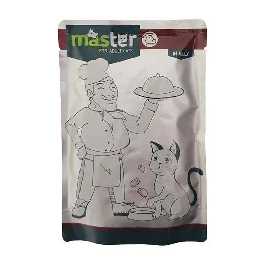 Master Cat Pouch with Beef in Jelly
