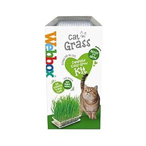 Webbox Cat Grass Kit 120g