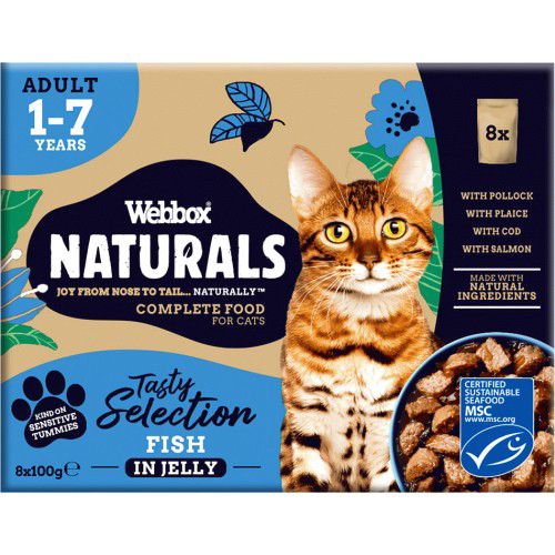 Webbox Pouches For Adult Cats Fish in Jelly 100g