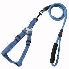 Harness + Leash Plain Color smart way