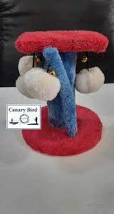 Cat Toy B25431