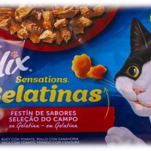 Purina Felix Sensation Jelly Selection 4x85g