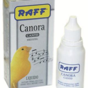 Raff Canto