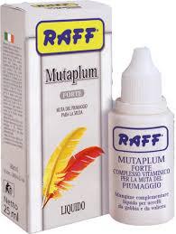 Raff Mutaplum