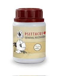 PSITTACUS General Recovery Supplement 100g