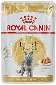 British shorthair wet food