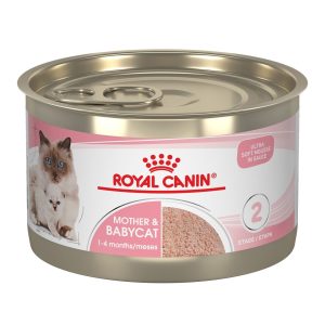 RC Baby Cat Instinctive 195g