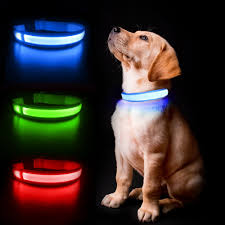 Dog Harness with Led