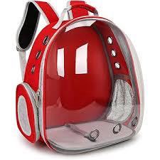 Transperent Back Pack