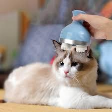 A Scalp Massager