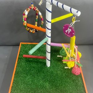 Parrots Wooden Stand Playgroud