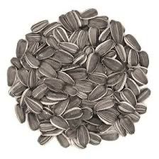 Striped Sun-Flowers 700g