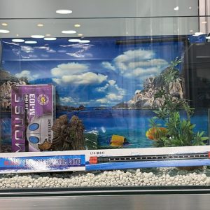 Decorated Tank 50cm