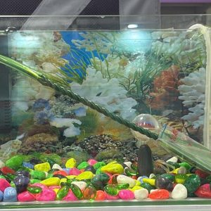 Decorated Tank 30cm