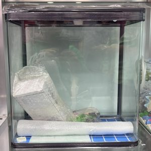 Deorated Tank 38cm With Cover.