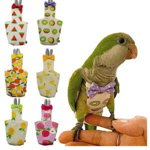 Bird Diaper