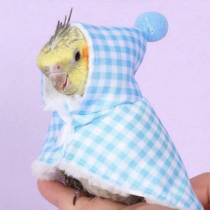 Bird Cape