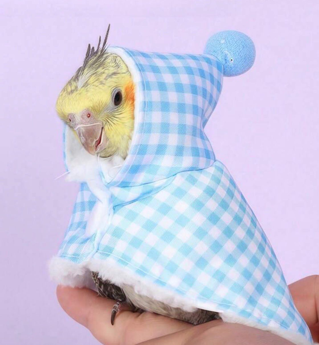 Bird Cape