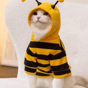 Bee Hoodie
