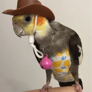 Bird Cowboy Hat