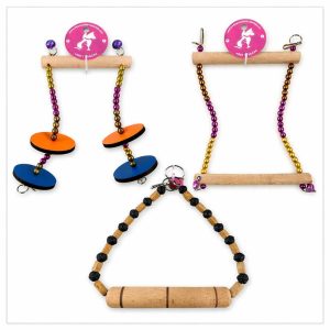 Two Stick Swing For Birds