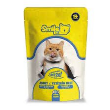 Smile Pouch Adult Salmon 100g